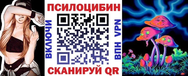 Псилоцибиновые грибы Cubensis  сайты даркнета как зайти  Талица 